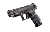  Walther Ppq M2 9mm Semi- Auto Pistol | 2796066